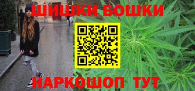 бошки Шелехов