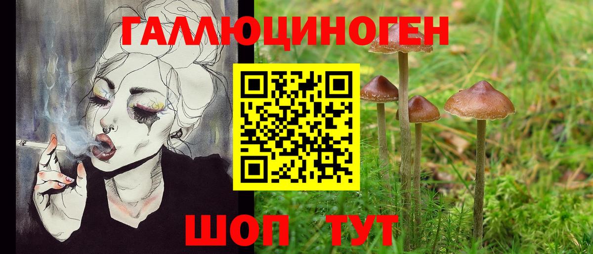 Псилоцибиновые грибы GOLDEN TEACHER  Псилоцибиновые грибы прущие грибы  Вход с VPN  Владивосток 