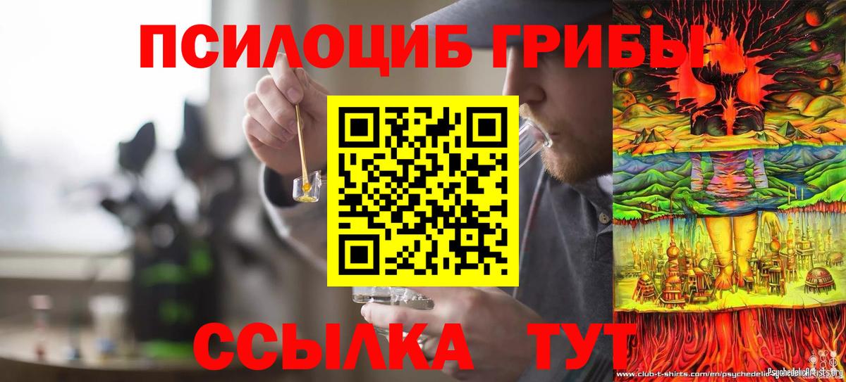 Псилоцибиновые грибы Cubensis Владивосток